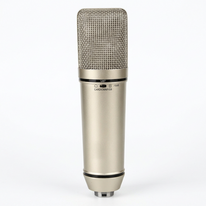 Large-Diaphragm Condenser Microphone | Professional Studio Recording Mic